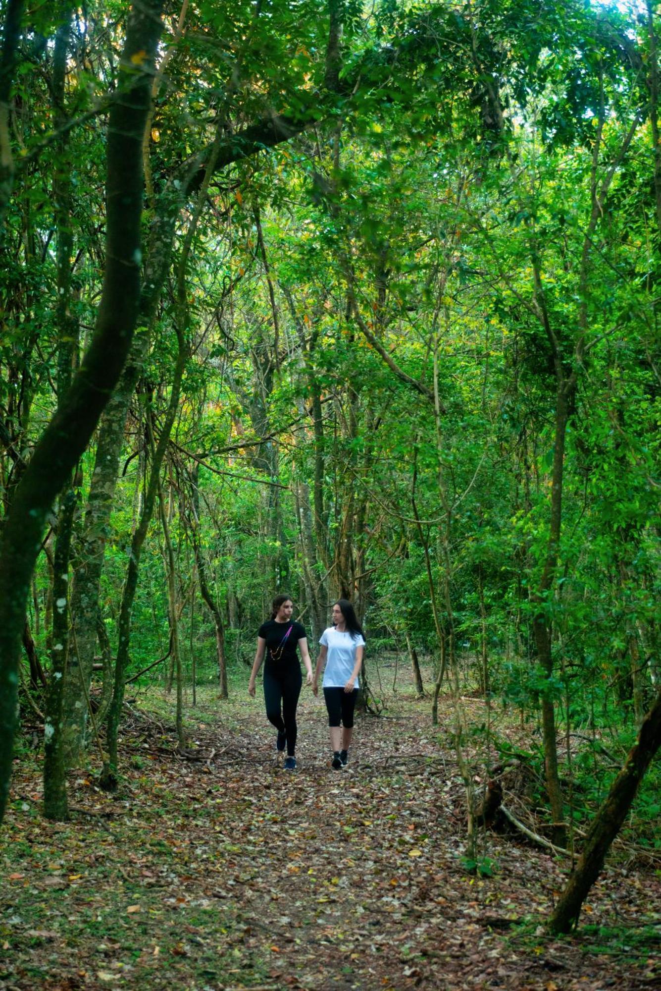 Vista Alegre Natural Resort - Bungalows Independencia 外观 照片
